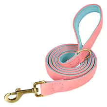Personalised Leather Dog Collar & Leash Set – Free Engraved Nameplate