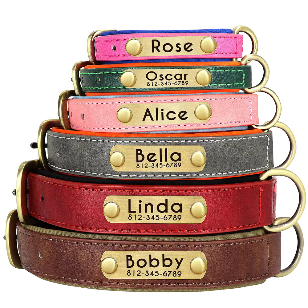 Personalised Leather Dog Collar & Leash Set – Free Engraved Nameplate
