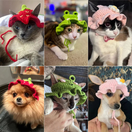 Hand-made Cat Hat - Cute Knitted Pet Headwear