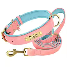 Personalised Leather Dog Collar & Leash Set – Free Engraved Nameplate