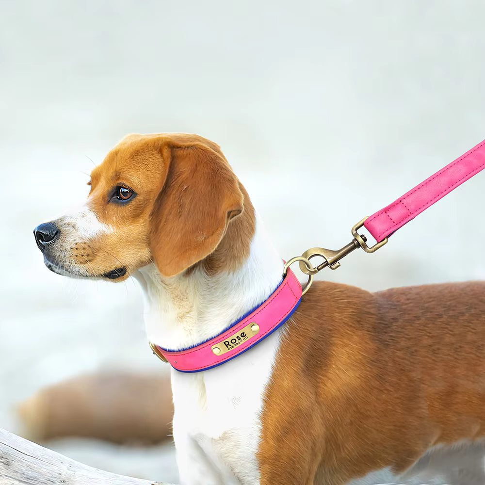 Personalised Leather Dog Collar & Leash Set – Free Engraved Nameplate