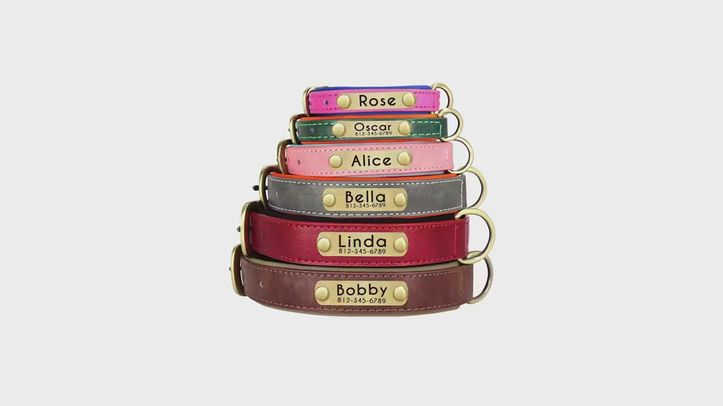 Personalised Leather Dog Collar & Leash Set – Free Engraved Nameplate