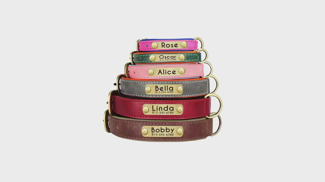 Personalised Leather Dog Collar & Leash Set – Free Engraved Nameplate