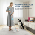 Woman with Border Collie HD